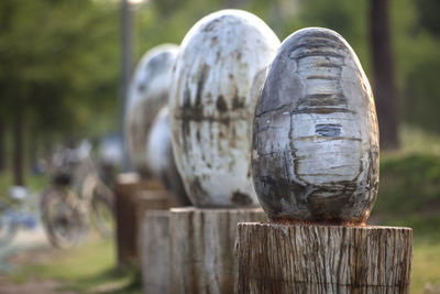 Egg shape stone sculptures on tree stumps at sangdong lake park