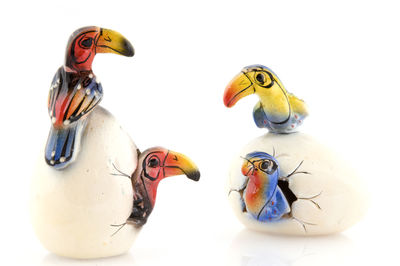 Close-up of birds against white background