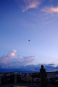 Low angle view of birds flying in sky