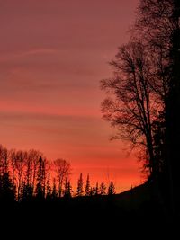 Silhouette trees against sky during sunset