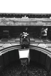 Rear view of a man with woman in the background