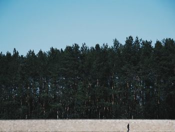 Scenic view of trees against clear blue sky