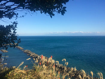 Scenic view of sea against blue sky