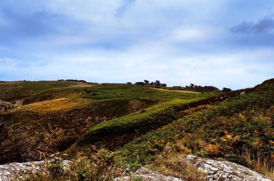 Scenic view of landscape against sky