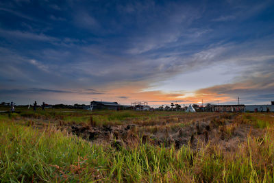 Scenic view of field against sky during sunset