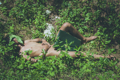 Low section of person lying on grass