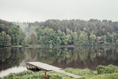 Scenic view of lake by trees in forest against sky