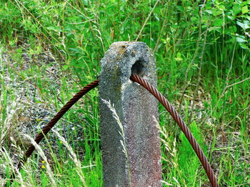 Close-up of old rusty metal on field