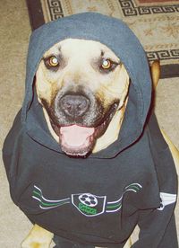 Portrait of young woman