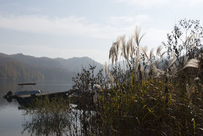 Scenic view of lake against sky