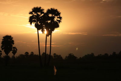 Silhouette palm trees against sky during sunset