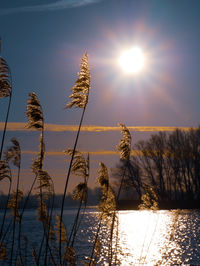 Scenic view of sunset over lake