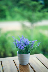 Close-up of purple flower pot on table