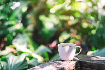 Close-up of coffee cup on wood outdoors