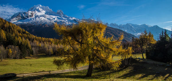 Scenic view of snowcapped mountains against sky during winter