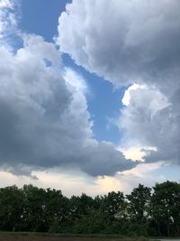 Low angle view of trees against sky