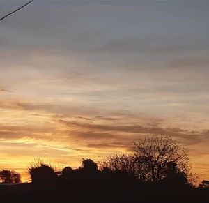 Low angle view of silhouette trees against sky at sunset