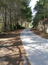 Road amidst trees in forest