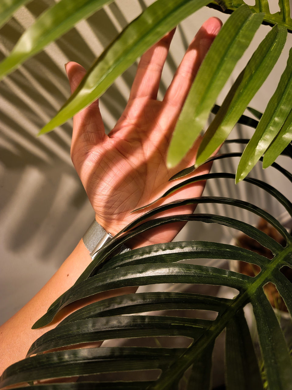 green, leaf, plant part, plant, flower, growth, nature, branch, palm tree, palm leaf, hand, close-up, tree, grass, outdoors, day, one person, food, plant stem