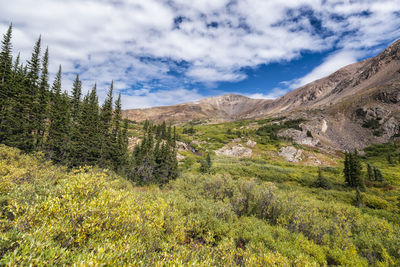 Landscape in the rocky mountains, colorado