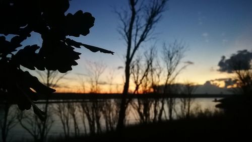 Silhouette trees by lake against sky during sunset