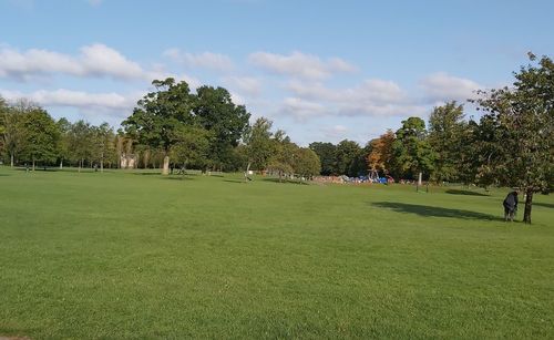 Trees on field against sky