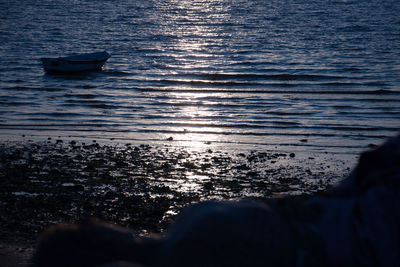 Low section of birds on sea