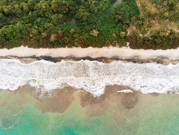 High angle view of plants by sea
