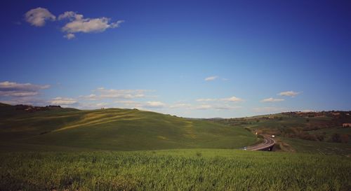 Scenic view of agricultural field against sky