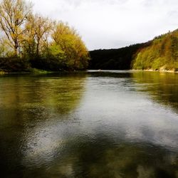 Scenic view of lake in forest against sky