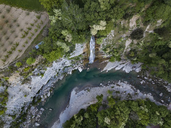 High angle view of river amidst trees in forest