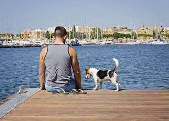 Rear view of woman with dog sitting against sea