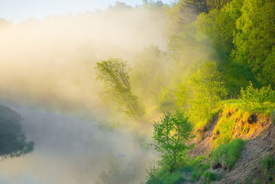 Beautiful foggy spring morning landscape of a river with grass growing in the foreground.