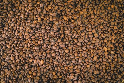 Full frame shot of roasted coffee beans in forest