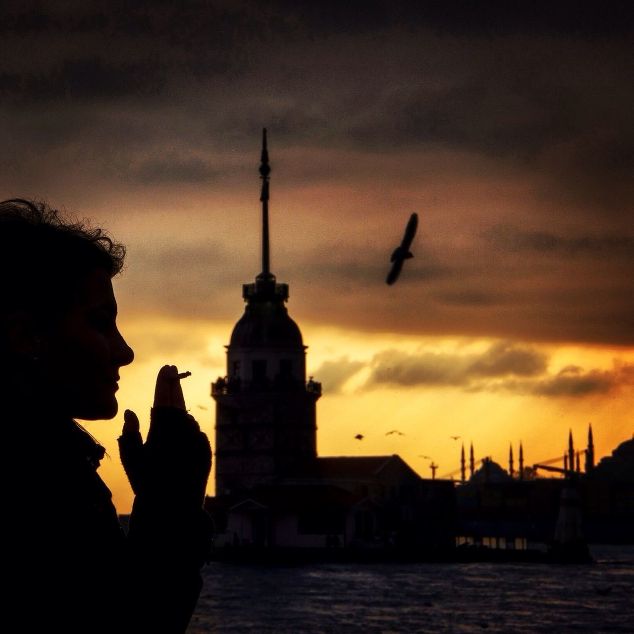 sky, silhouette, sunset, architecture, built structure, building exterior, bird, cloud - sky, flying, water, animals in the wild, waterfront, cloudy, animal themes, dusk, wildlife, men, cloud, city