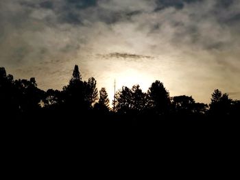 Silhouette trees against sky during sunset