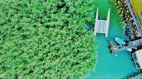 High angle view of swimming pool