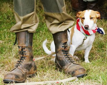 Dog standing on field