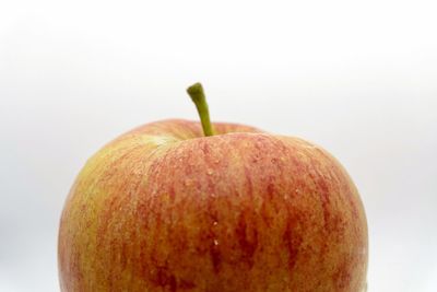 Close-up of fruit against white background