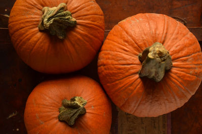 High angle view of pumpkins