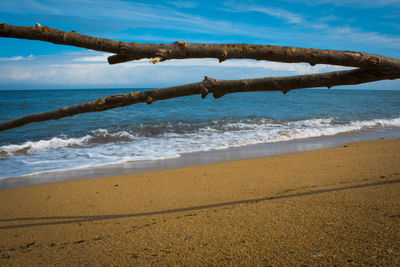 Sea-beach-sky-wood-waves-landscape