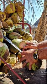 Close-up of hand holding fruit