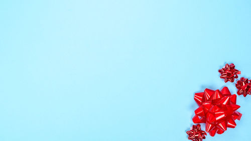 Close-up of red flower against blue background