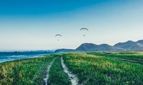 Scenic view of field against clear blue sky