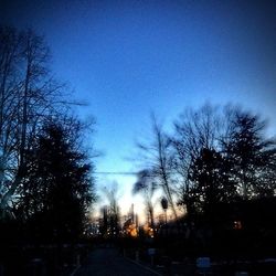 Bare trees against sky at dusk