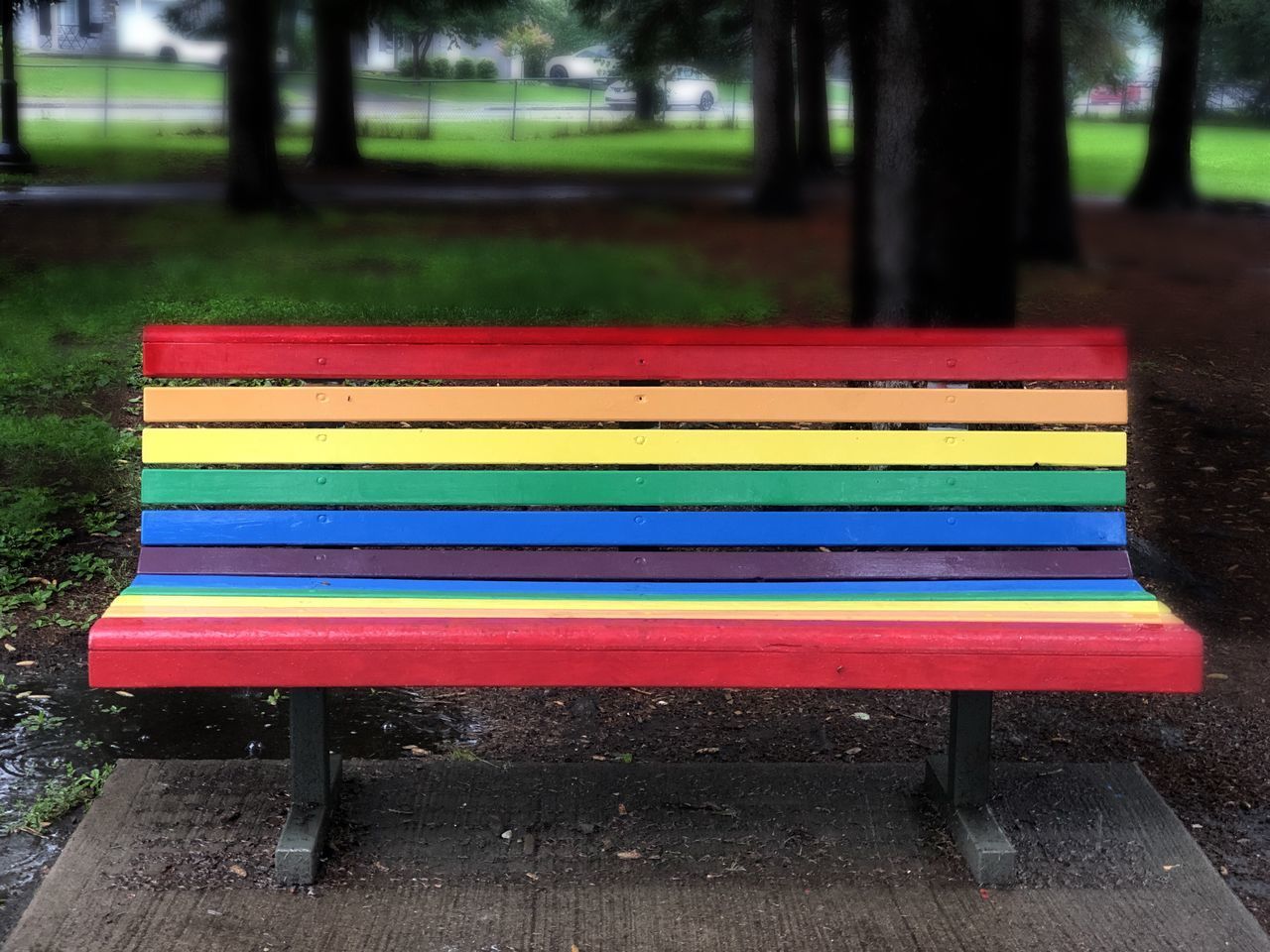 EMPTY BENCH IN PARK AT ROADSIDE