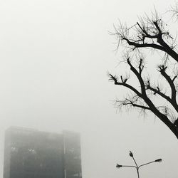 Low angle view of bare trees against clear sky