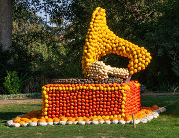 Various fruits on tree in farm