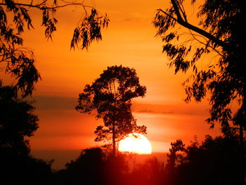 Silhouette trees against romantic sky at sunset