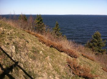 Scenic view of landscape against clear sky